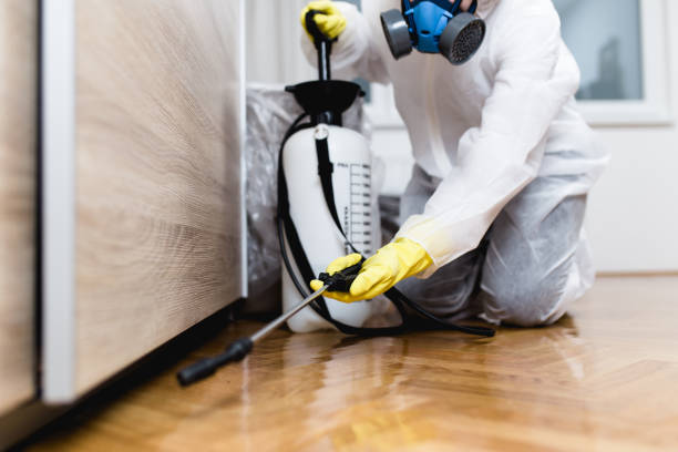 Wasp Removal Services in Schofield Barracks, HI